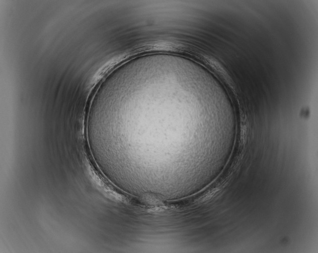 X0000115630938200911241644