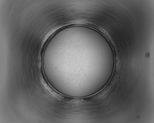 X0000115630939200911241644