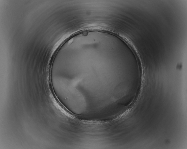 X0000115630941200911241644