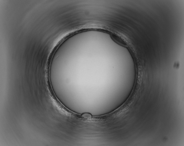 X0000115630942200911241644