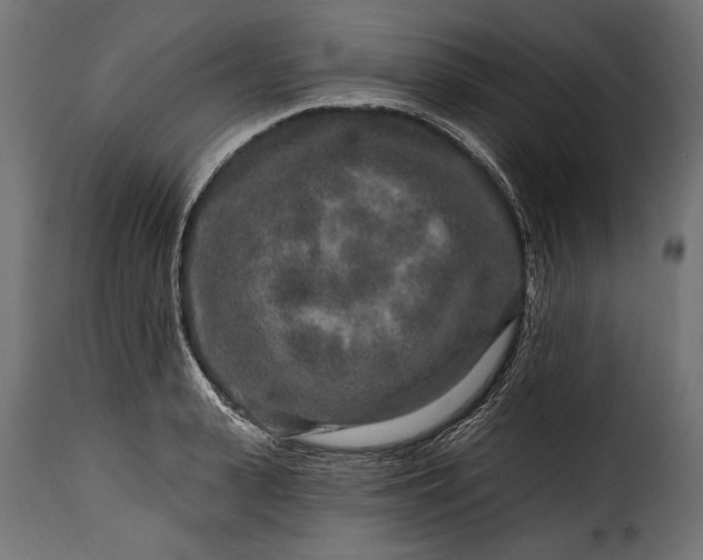 X0000115630943200911241644