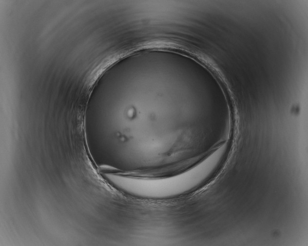 X0000115630945200911241644