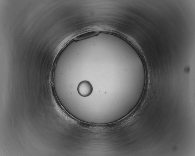 X0000115630946200911241644