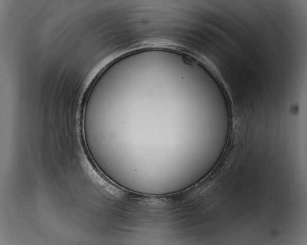 X0000115630947200911241644