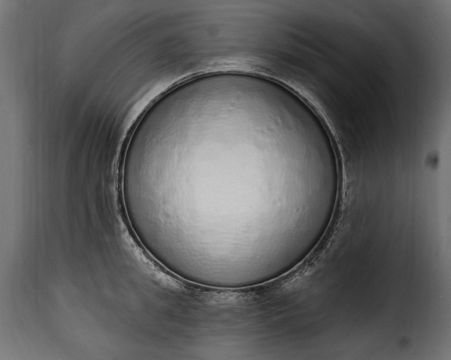 X0000115630949200911241644