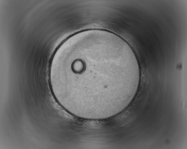 X0000115630950200911241644