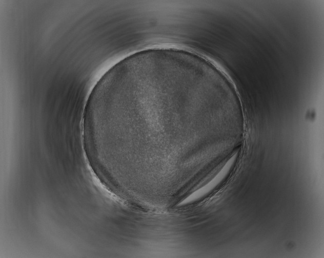 X0000115630951200911241644