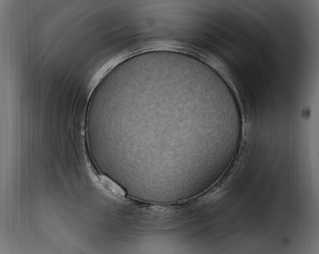 X0000115630954200911241644