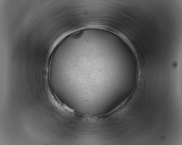 X0000115630955200911241644