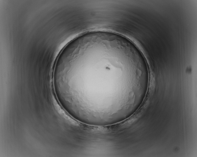 X0000115630957200911241644