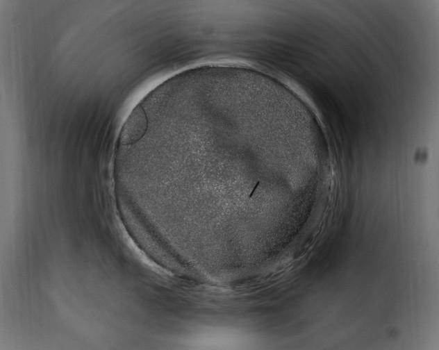 X0000115630959200911241644