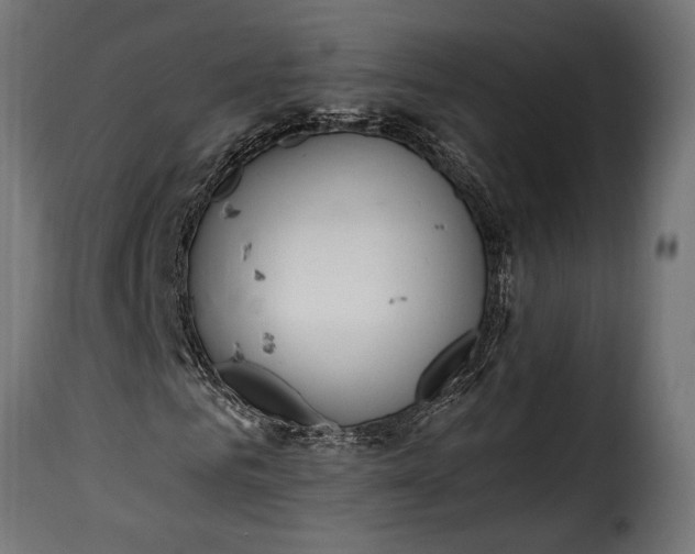 X0000115630961200911241643