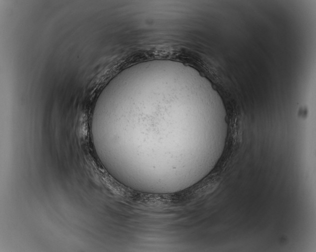 X0000115630962200911241643