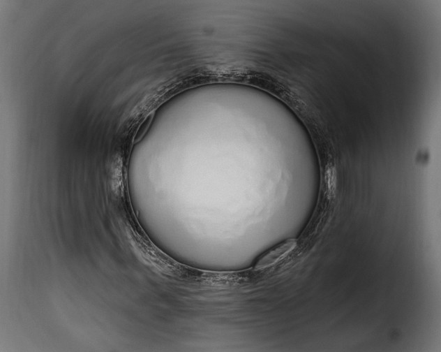 X0000115630963200911241643