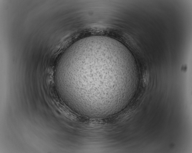 X0000115630964200911241643