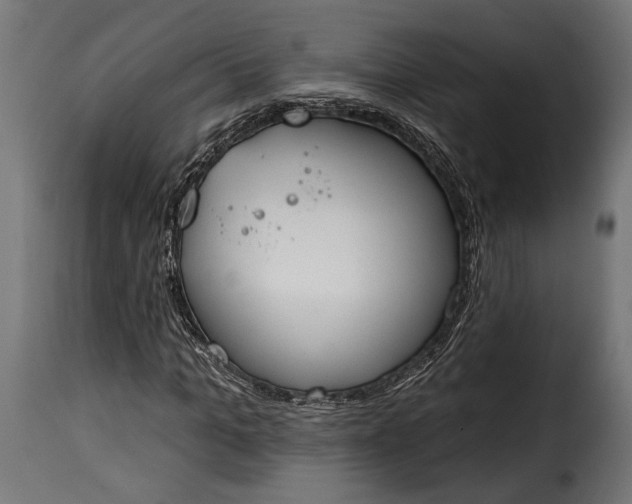 X0000115630965200911241643