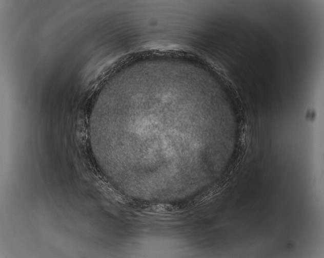 X0000115630966200911241643