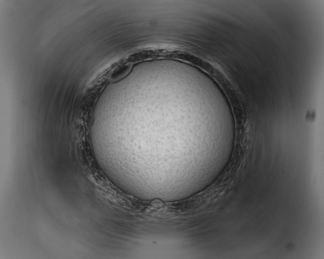 X0000115630967200911241643