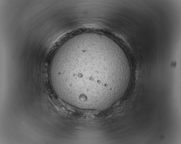 X0000115630968200911241643