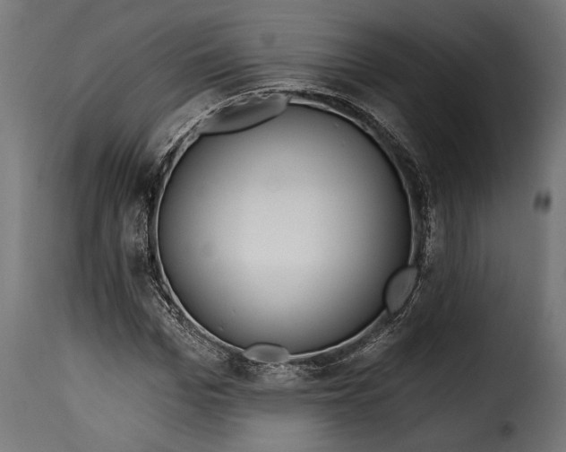 X0000115630969200911241643