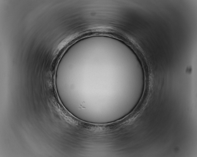 X0000115630970200911241643