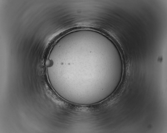 X0000115630971200911241643