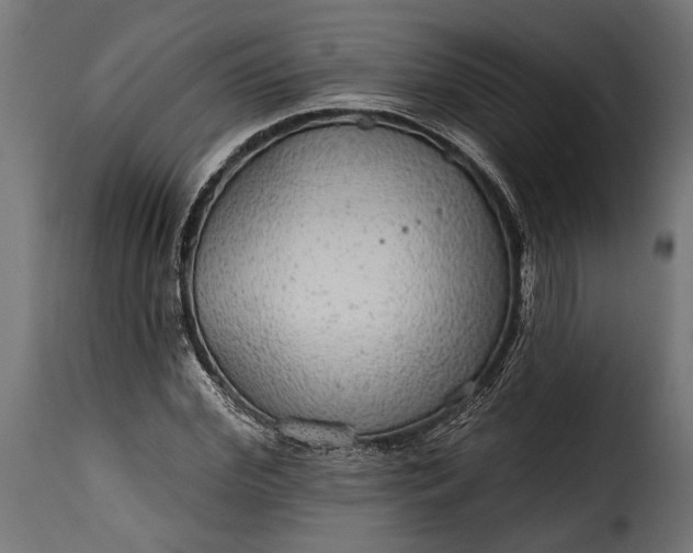 X0000115630972200911241643