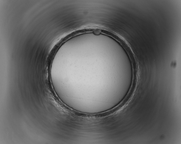 X0000115630973200911241643