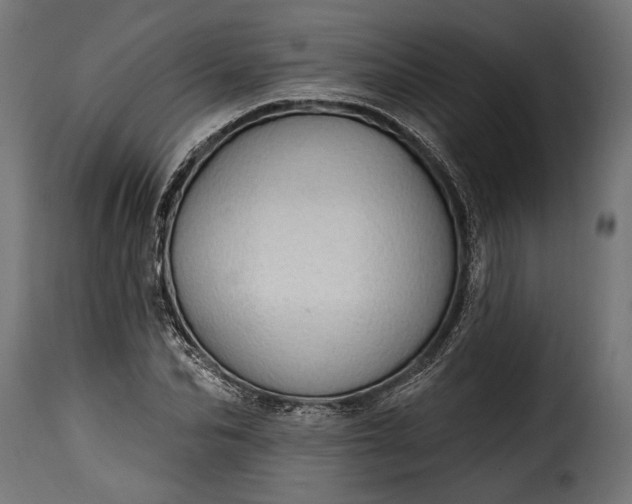 X0000115630974200911241643