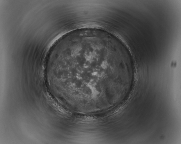 X0000115630975200911241643