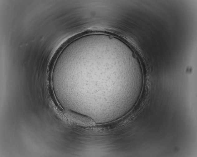 X0000115630976200911241643