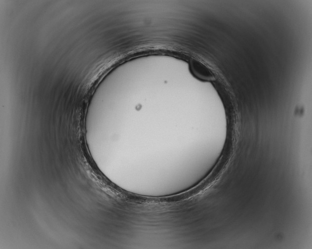 X0000115630977200911241643