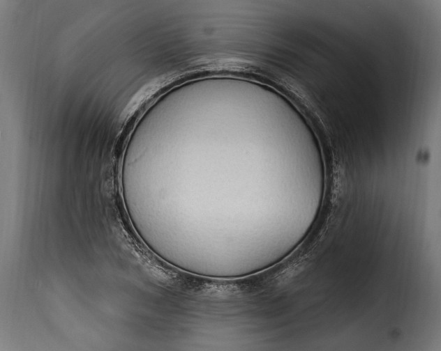 X0000115630978200911241643