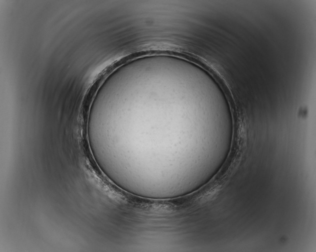 X0000115630979200911241643