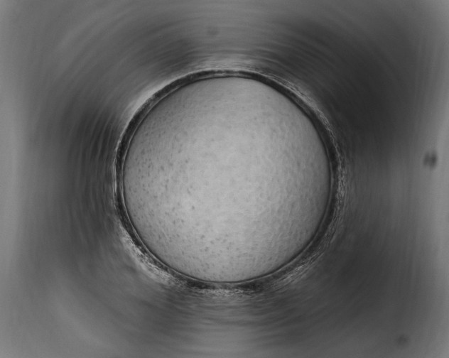 X0000115630980200911241643