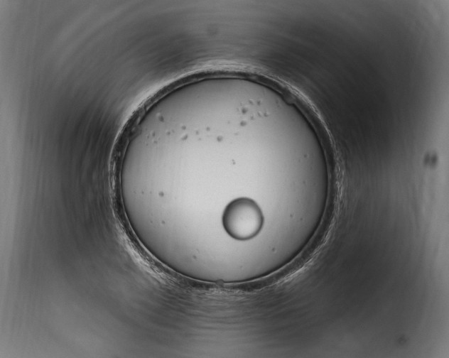 X0000115630981200911241643