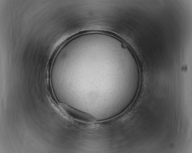 X0000115630982200911241643