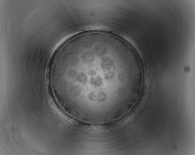 X0000115630983200911241643