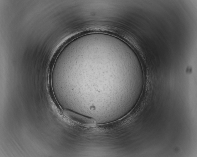 X0000115630984200911241643