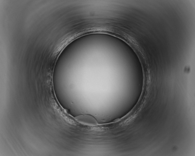 X0000115630985200911241643