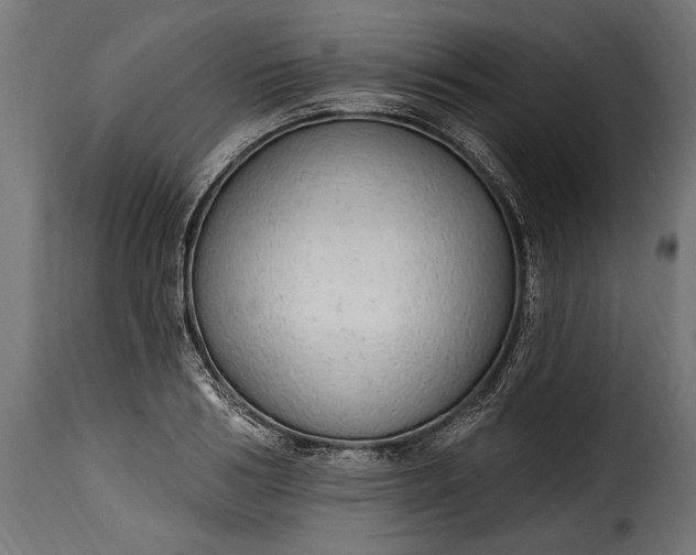 X0000115630986200911241643