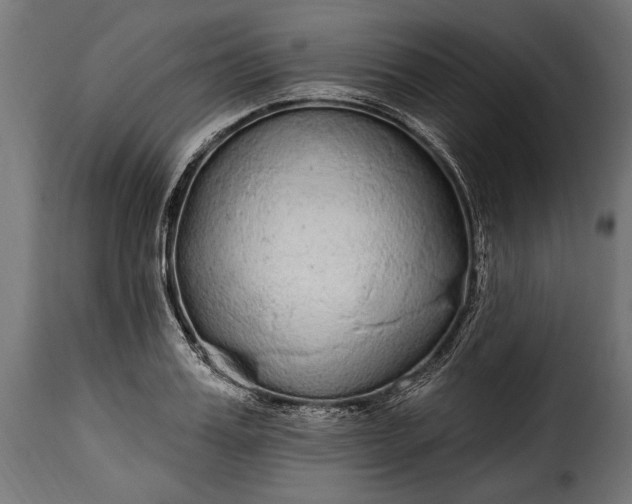 X0000115630987200911241643