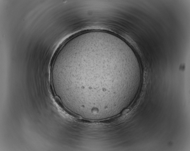 X0000115630988200911241643