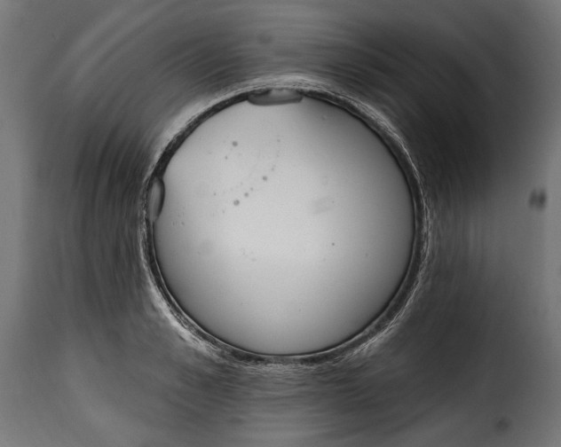 X0000115630989200911241643