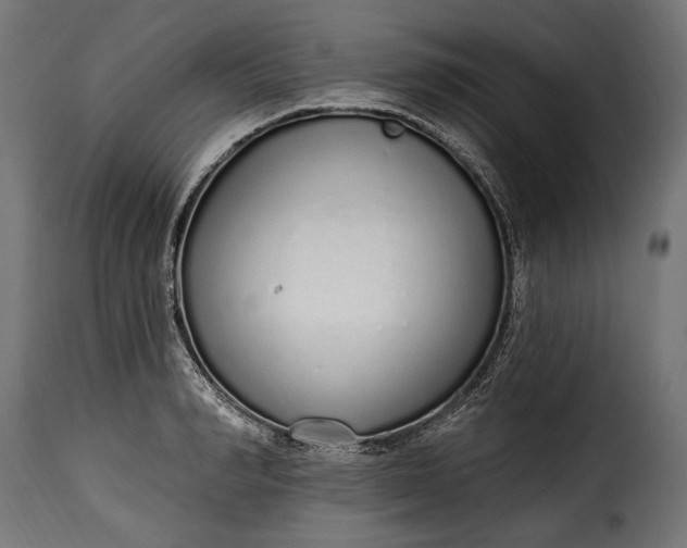 X0000115630990200911241643