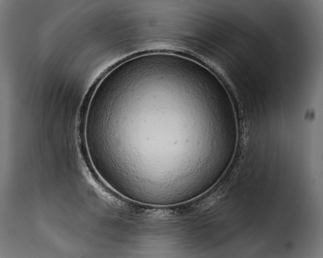 X0000115630991200911241643