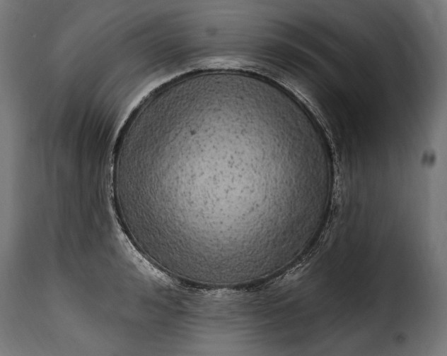 X0000115630992200911241643