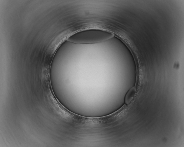 X0000115630993200911241643