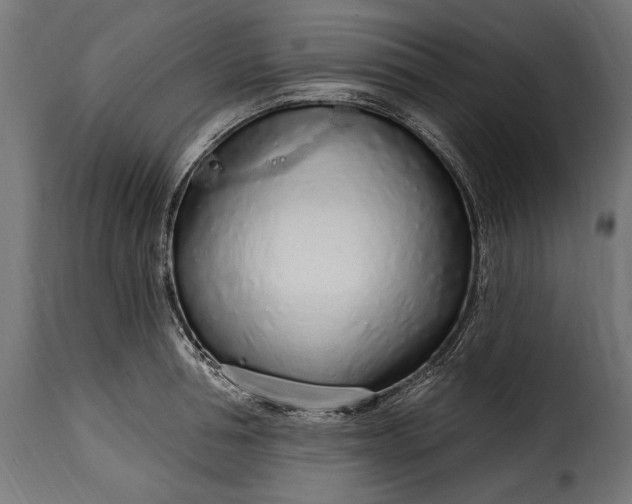 X0000115630994200911241643