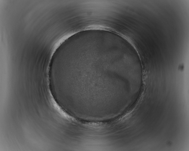 X0000115630995200911241643